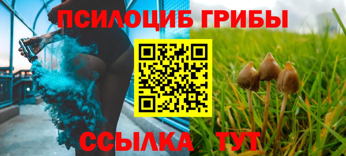 Йошкар-Ола  Галлюциногенные грибы Psilocybine cubensis  Галлюциногенные грибы мицелий  Вход с VPN 